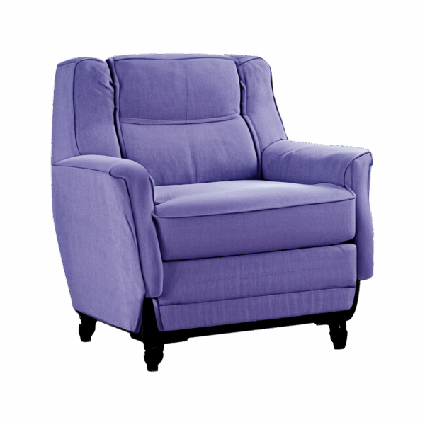 Cammi Blue Leather Armchair - Image 5