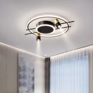 OEM ODM Wholesale Contemporary Indoor Led Ceiling Lights